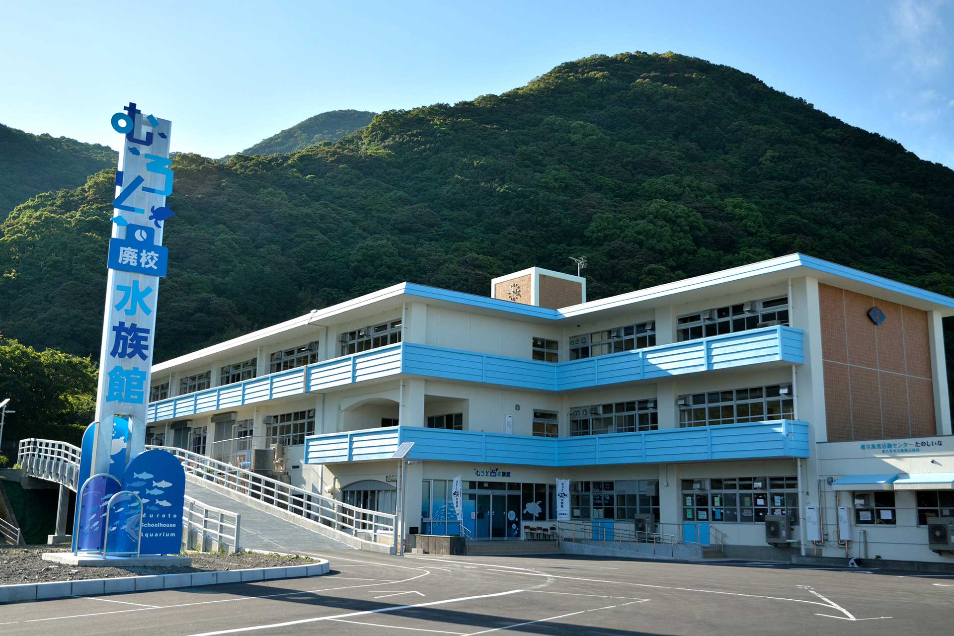 Popular Aquarium Introduces Only Local Marine Life, Utilizing a Closed School Building